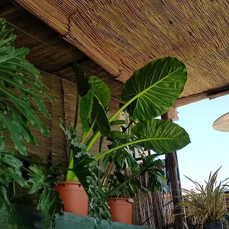 Alpujarra Sol 3* Orgiva