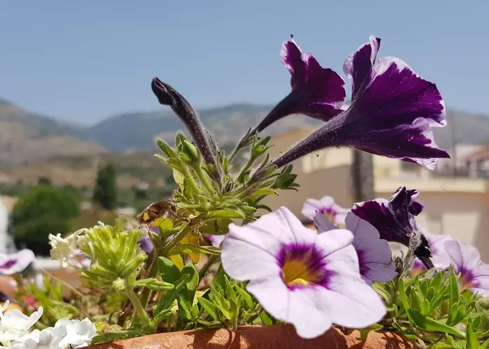 Alpujarra Sol Pensión