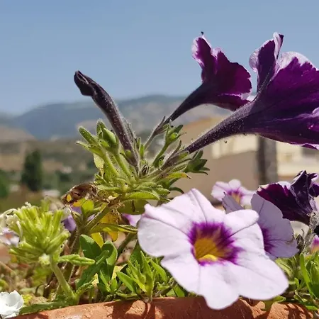 Alpujarra Sol Casa de hóspedes