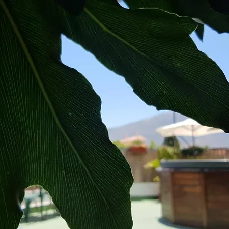 Alpujarra Sol Guest house