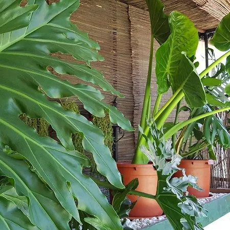 Alpujarra Sol 3* Orgiva